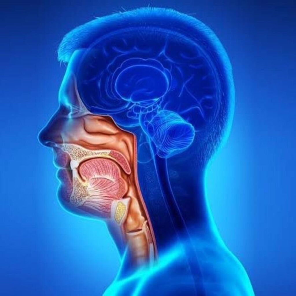 Physiotherapy rehabilitation for head and neck cancer focusing on mobility, strength recovery, and pain management.