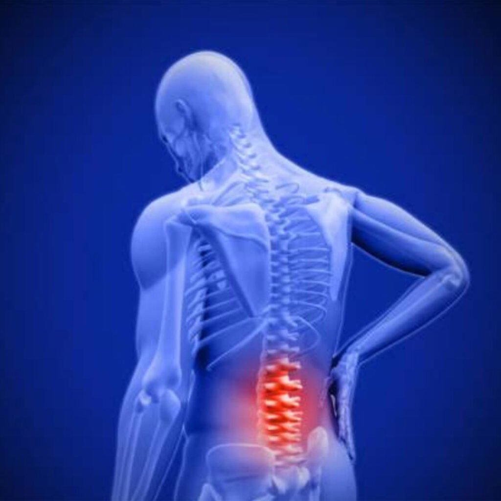 Physiotherapy treatment for lower back pain focusing on spine alignment, posture correction, and core strengthening.