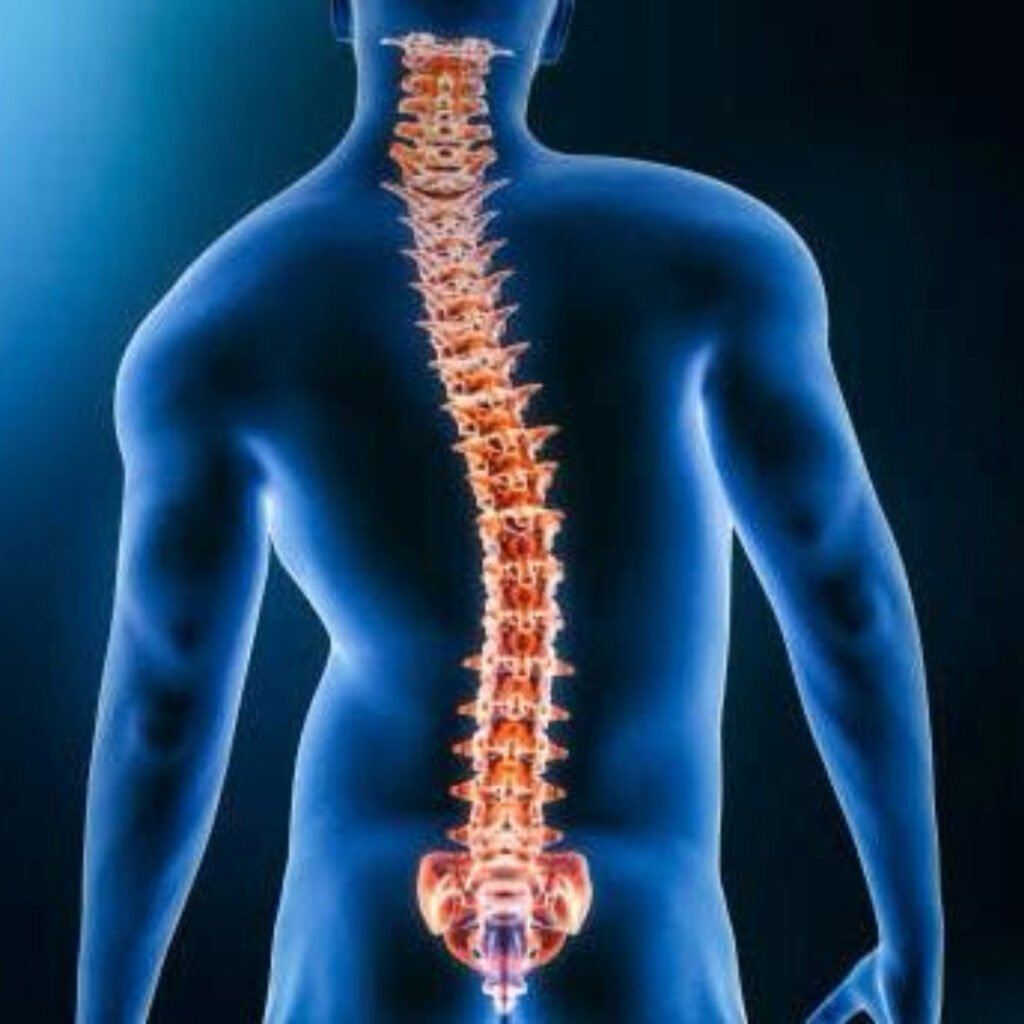 Physiotherapy for Scoliosis focusing on spinal alignment, posture correction, and back muscle strengthening.