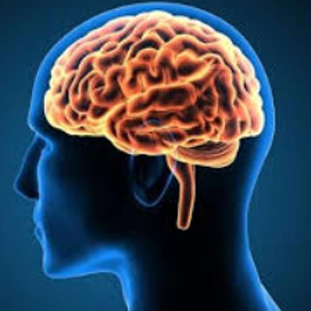 Physiotherapy and sensory integration therapy for children with Autism to improve coordination, balance, and motor skills.