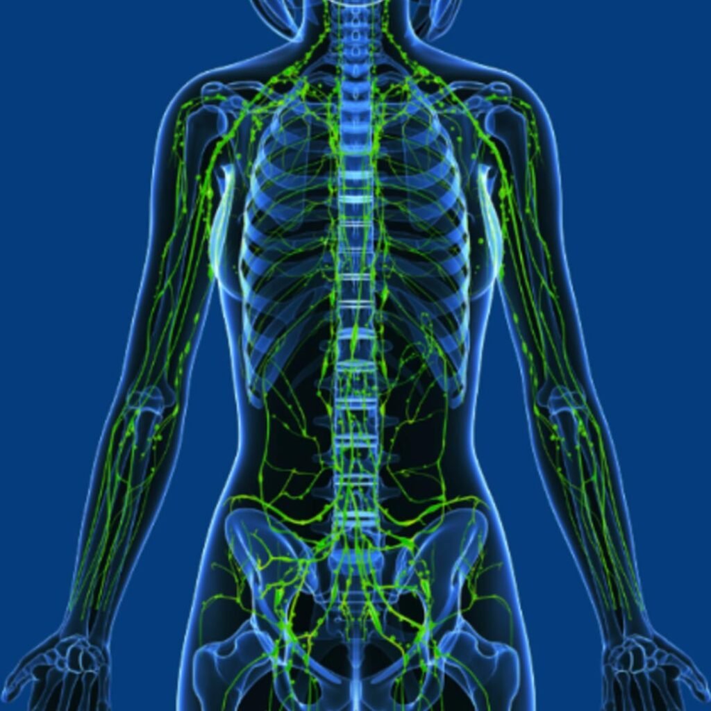 Physiotherapy for Lymphedema Management focusing on swelling reduction, lymphatic drainage, and limb mobility improvement.