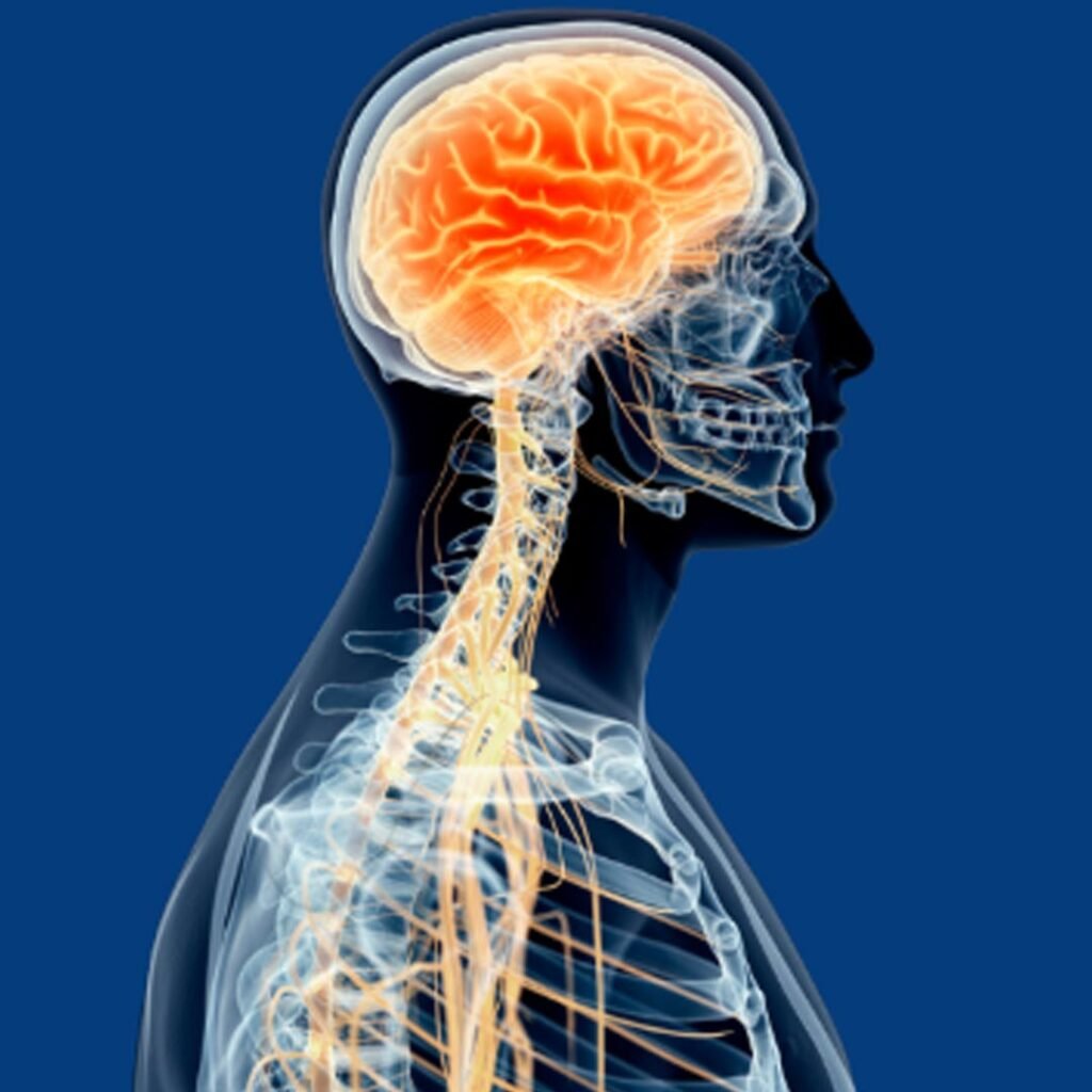 Physiotherapy for Paraparesis focusing on lower limb strength, balance training, and mobility improvement.