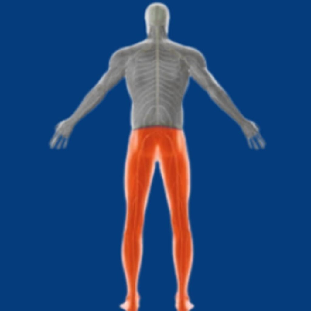 Physiotherapy rehabilitation for Paraplegia focusing on mobility training, muscle strengthening, and independence improvement.