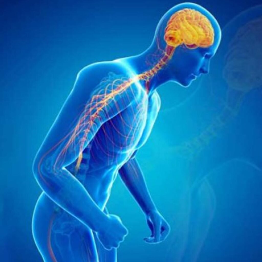 Physiotherapy for Parkinson’s Disease focusing on balance training, mobility improvement, and muscle coordination.