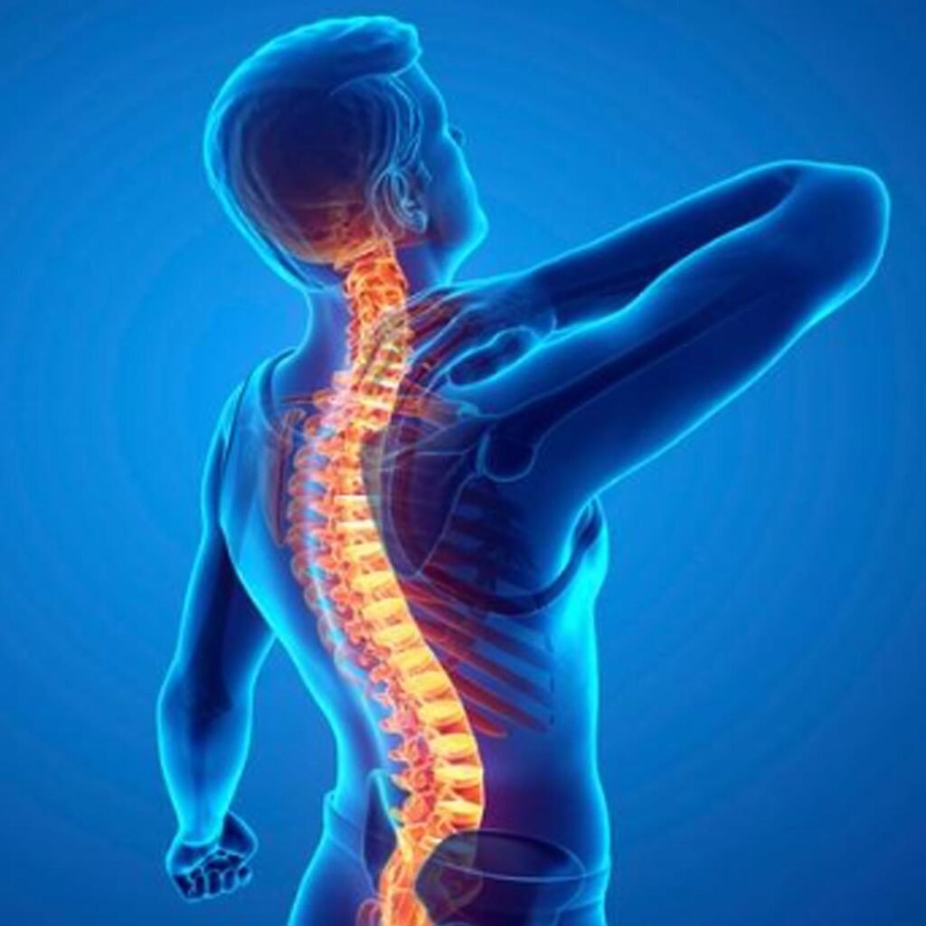 Physiotherapy for spine stiffness focusing on flexibility improvement, posture correction, and back pain relief.