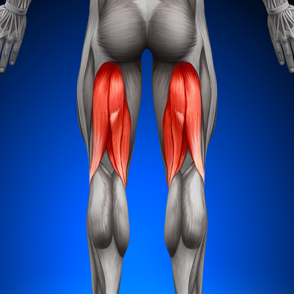 Physiotherapy treatment for Hamstring Strain focusing on muscle healing, flexibility improvement, and pain relief.