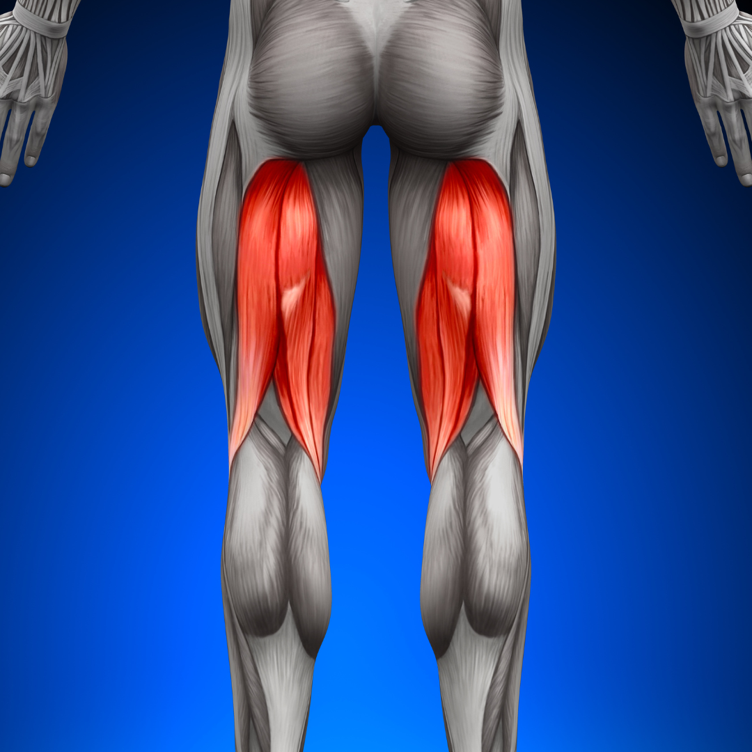 Physiotherapy treatment for Hamstring Strain focusing on muscle healing, flexibility improvement, and pain relief.